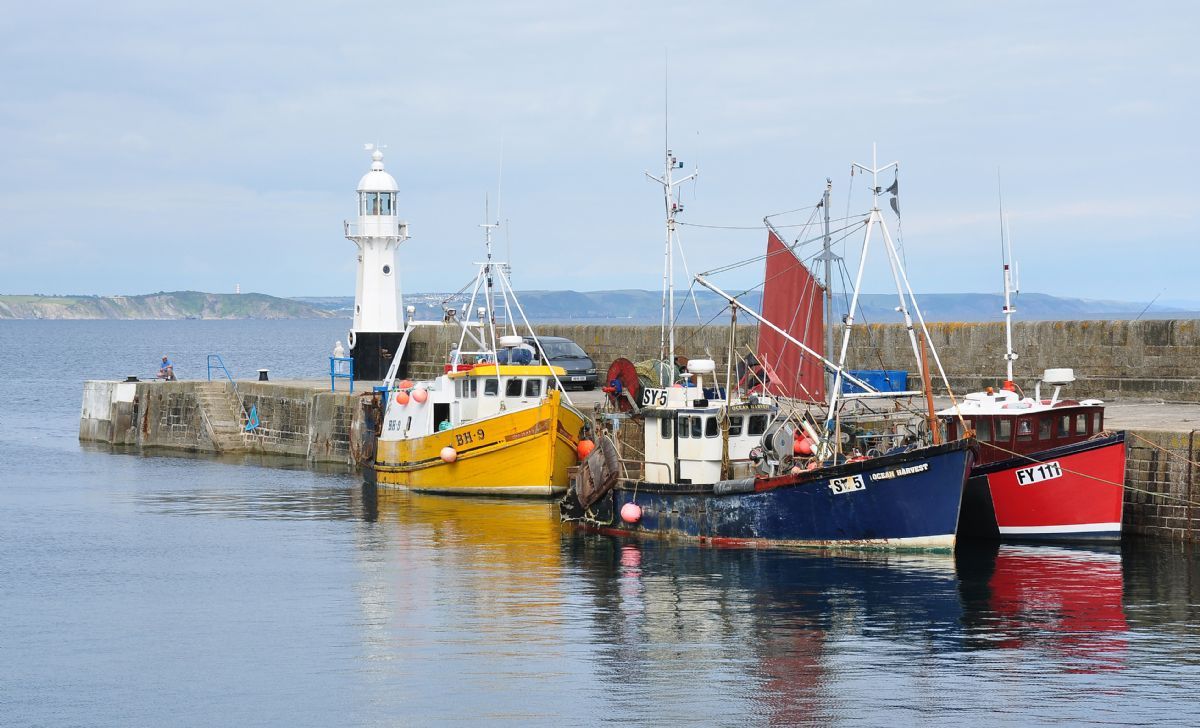 'Best' fishermen land big opportunity BirdGuides