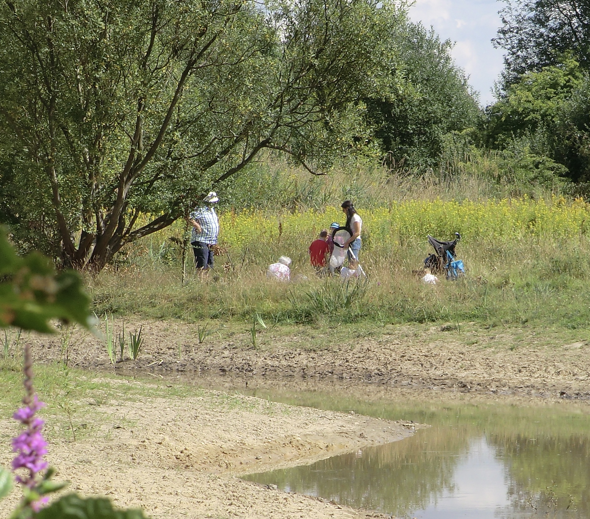 Manchester park to city's tenth nature reserve BirdGuides