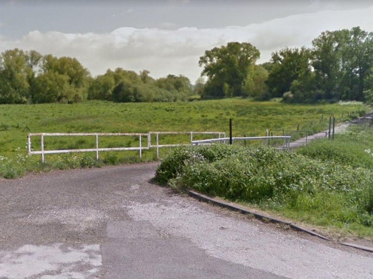 Green light for new reserve in Staffordshire - BirdGuides
