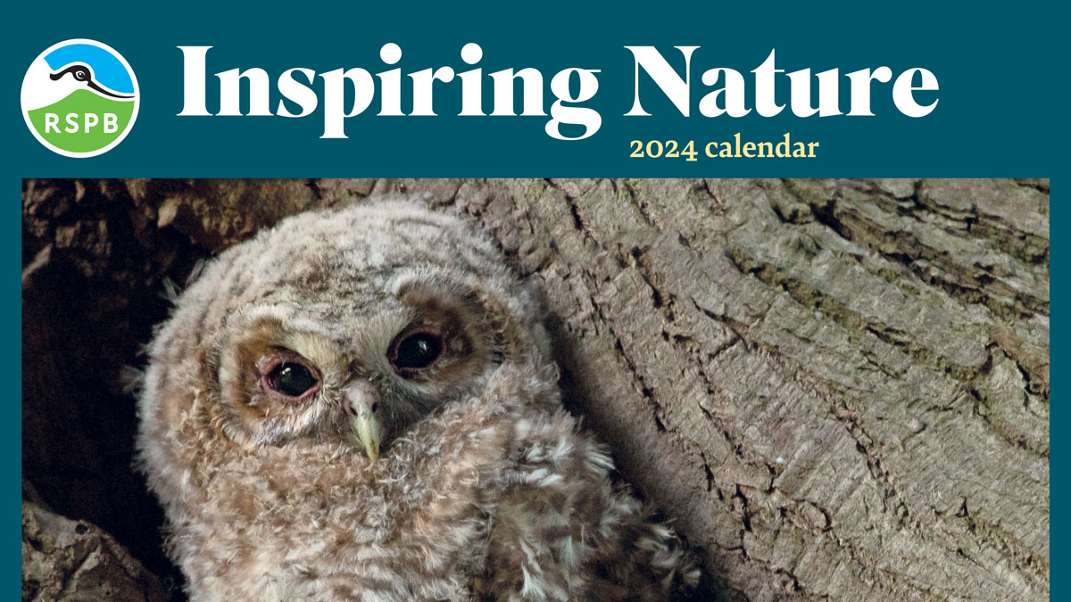 RSPB launches latest calendar competition BirdGuides