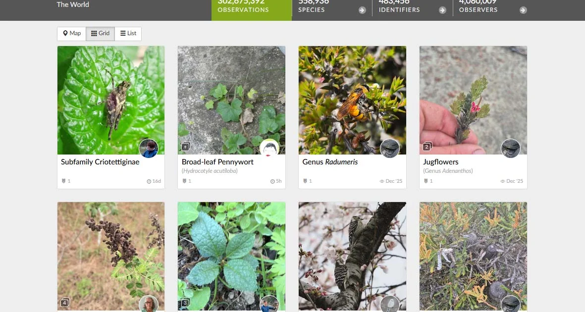 Study highlights value of casual contributors to wildlife data
