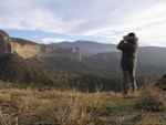 Birding abroad Finding Wallcreepers in the Sierra de Guara