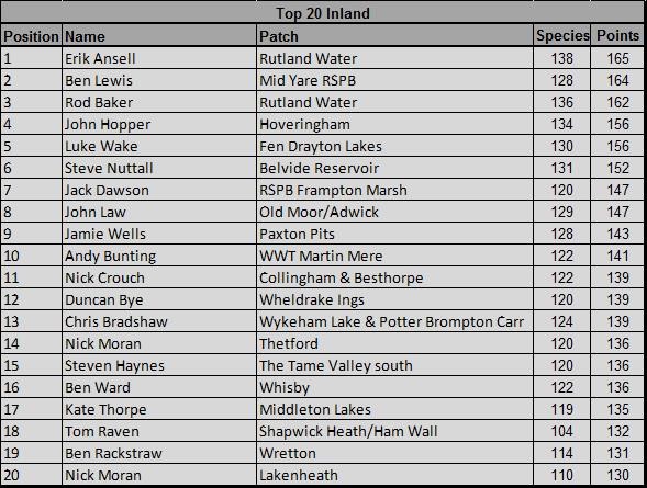 Patchwork Challenge April 2016 Birdguides