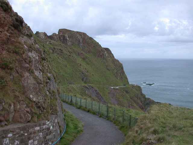 Moths in special habitats: Sea-cliffs and Headlands - BirdGuides