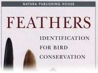 Feathers Identification For Bird Conservation Birdguides