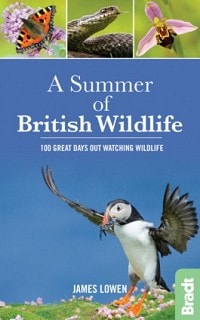 A Summer Of British Wildlife By James Lowen Birdguides