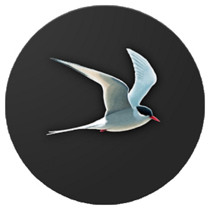 Collins Bird Guide app for Android