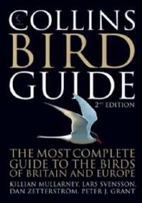 Hampshire Bird Report 2008