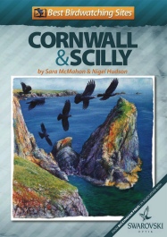 Best Birdwatching Sites in Cornwall & Scilly