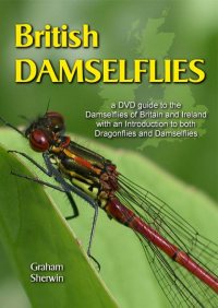 British Damselflies