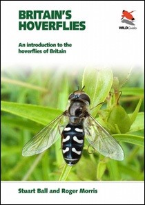 Britain's Hoverflies