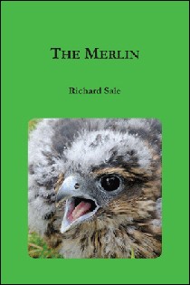Marline Rin Book The Merlin by Richard Sale - BirdGuides