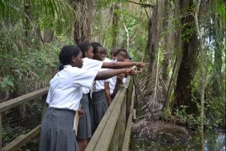 African Spring Alive enables African and European children and families to become aware of the interconnectedness of bird migration. Photo: BirdLife International. African Spring Alive enables African and European children and families to become aware of the interconnectedness of bird migration. Photo: BirdLife International.