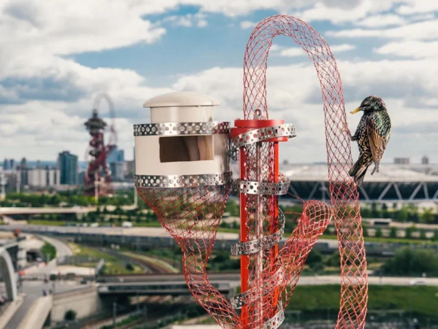 Anish Kapoor's iconic ArcelorMittal Orbit sculpture is one of 10 London landmarks represented in the form of special nest boxes commissioned by the RSPB. Anish Kapoor's iconic ArcelorMittal Orbit sculpture is one of 10 London landmarks represented in the form of special nest boxes commissioned by the RSPB.