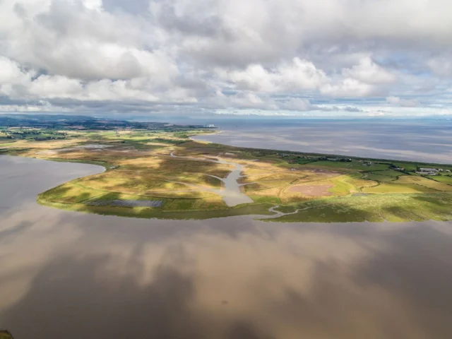 A now historical shot of Steart Marshes from the air, just before the seawall was breached to create the new flood defences and habitat. Photo: WWT. A now historical shot of Steart Marshes from the air, just before the seawall was breached to create the new flood defences and habitat. Photo: WWT.