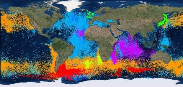 A world map showing the entire five million data points for the world's seabirds, as provided by 120 research institutions. Photo: BirdLife International. A world map showing the entire five million data points for the world's seabirds, as provided by 120 research institutions. Photo: BirdLife International.