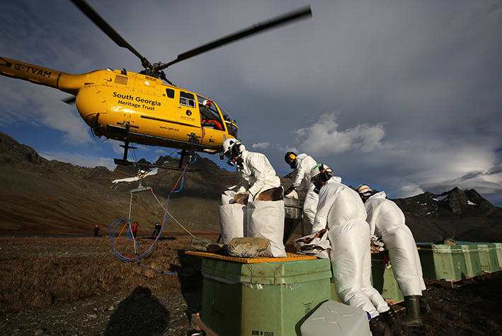 Team Rat filling baiting bucket