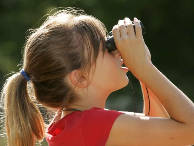 Children could be encouraged to take up birding after developing an interest in birds during the RSPB's nationwide survey. Photo: USF&W Service (commons.wikimedia.org). Children could be encouraged to take up birding after developing an interest in birds during the RSPB's nationwide survey. Photo: USF&W Service (commons.wikimedia.org).