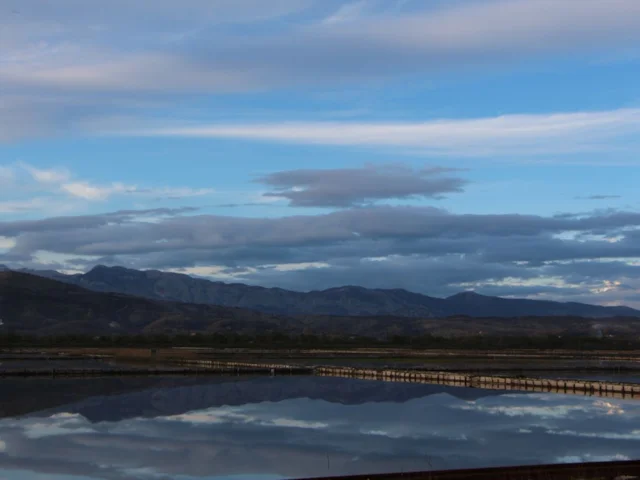 Despite the industrial influences on the site, Ulcinj Salina has both geographical beauty and a profusion of birds. Photo: Pierre (CEPF). Despite the industrial influences on the site, Ulcinj Salina has both geographical beauty and a profusion of birds. Photo: Pierre (CEPF).