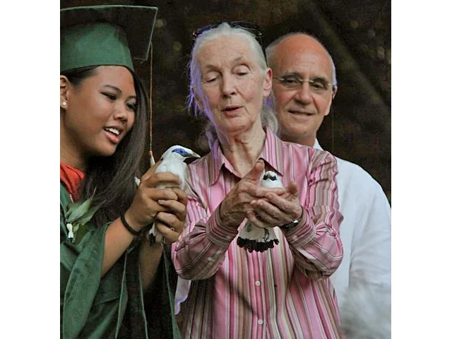 Dr Goodall (centre) and graduate student Alicia Kennedy (left) release two Bali Mynas as part of the blessing ceremony. Photo: Begawan Foundation. Dr Goodall (centre) and graduate student Alicia Kennedy (left) release two Bali Mynas as part of the blessing ceremony. Photo: Begawan Foundation.