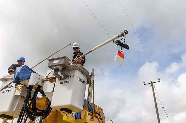 Electricity North-West fitting the bird diverters to live power lines