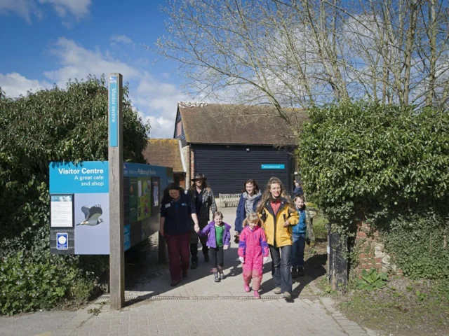 Family volunteering events like this one at Pulborough Brooks RSPB, are one of the many popular initiatives in the charity's armoury. Photo: Eleanor Bentall (www.rspb-images.com). Family volunteering events like this one at Pulborough Brooks RSPB, are one of the many popular initiatives in the charity's armoury. Photo: Eleanor Bentall (www.rspb-images.com).