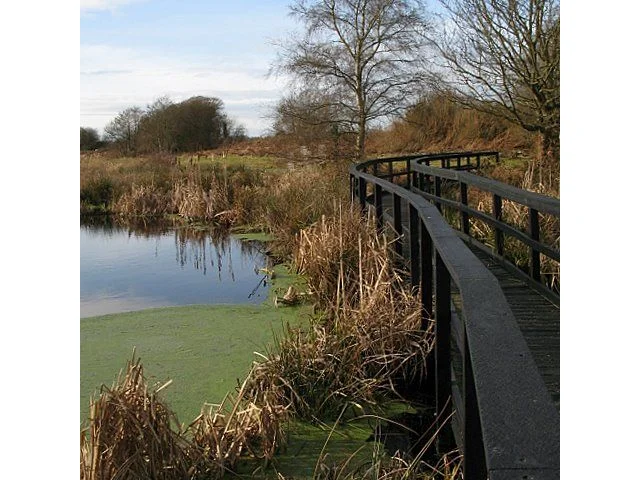 Ham Wall RSPB has boardwalks overlooking the reserve to enable visitors to get closer to nature. Photo: Sharon Loxton (commons.wikimedia.org). Ham Wall RSPB has boardwalks overlooking the reserve to enable visitors to get closer to nature. Photo: Sharon Loxton (commons.wikimedia.org).