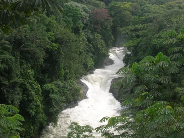Kwa Falls is one of the many wonders of an area rich in wildlife in the Cross River region of Nigeria. Photo: Shiraz Chakera (commons.wikimedia.org). Kwa Falls is one of the many wonders of an area rich in wildlife in the Cross River region of Nigeria. Photo: Shiraz Chakera (commons.wikimedia.org).