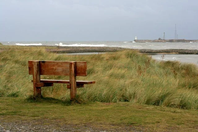 North Gare, Hartlepool, Co Durham, is at the mouth of the River Tees and well known for tis great seawatching. Photo: Mick Garratt (commons.wikimedia.org). North Gare, Hartlepool, Co Durham, is at the mouth of the River Tees and well known for tis great seawatching. Photo: Mick Garratt (commons.wikimedia.org).