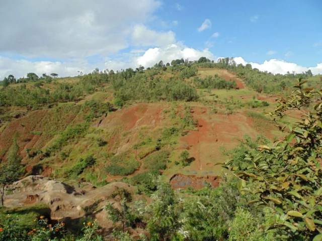 Poor land-use practices threaten the whole landscape of the Congo Basin, particularly when exacerbated by climate change. Photo: Albert Schenk. Poor land-use practices threaten the whole landscape of the Congo Basin, particularly when exacerbated by climate change. Photo: Albert Schenk.