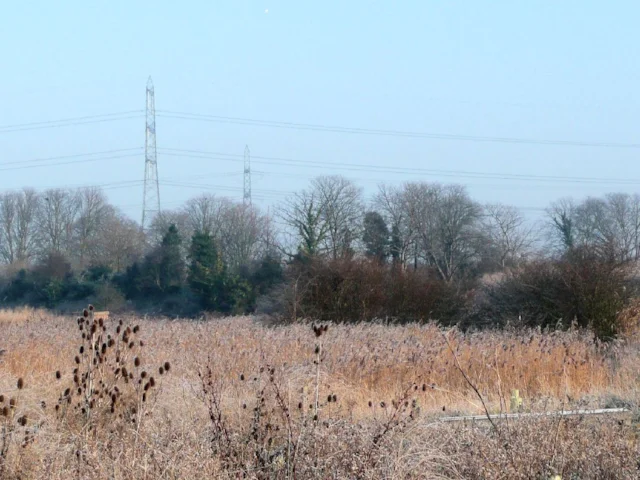 Rainham Marshes is already a world-class urban nature reserve, and will now feature in both a pop video and a documentary. Photo: Romfordian (commons.wikimedia.org). Rainham Marshes is already a world-class urban nature reserve, and will now feature in both a pop video and a documentary. Photo: Romfordian (commons.wikimedia.org).