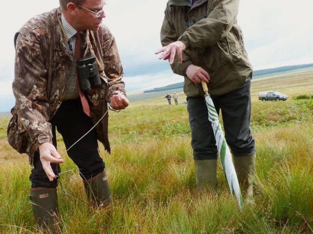 Scottish Minister for the Environment Paul Wheelhouse (right) with Project Manager Graeme Dalby, discussing the efficacy of moorland management techniques on Langholm Moor. Photo: Game & Wildlife Conservation Trust. Scottish Minister for the Environment Paul Wheelhouse (right) with Project Manager Graeme Dalby, discussing the efficacy of moorland management techniques on Langholm Moor. Photo: Game & Wildlife Conservation Trust.