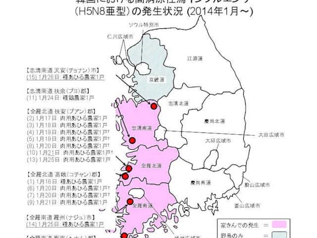 Screenshot of a Japanese map of the H5N8 outbreak in South Korea. The pink areas are provinces where infected domestic ducks have been found, while the blue area is the province to the north where infected wild birds have been found. Screenshot of a Japanese map of the H5N8 outbreak in South Korea. The pink areas are provinces where infected domestic ducks have been found, while the blue area is the province to the north where infected wild birds have been found.