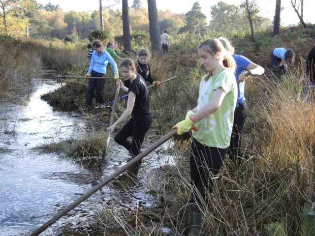 Teenagers 'do their bit' at the Phoenix Forum Conservation Weekend at Arne RSPB in October 2015. Photo: Tony Garrett (www.rspb-images.com). Teenagers 'do their bit' at the Phoenix Forum Conservation Weekend at Arne RSPB in October 2015. Photo: Tony Garrett (www.rspb-images.com).