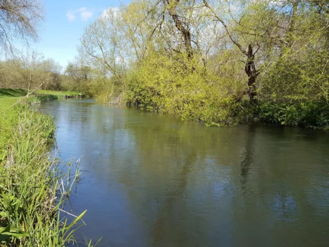 The Avon Nature Reserve, Wiltshire. People seem more likely to visit such sites for their beauty rather than their conservation value. Photo: Richard Avery (commons.wikimedia.org). The Avon Nature Reserve, Wiltshire. People seem more likely to visit such sites for their beauty rather than their conservation value. Photo: Richard Avery (commons.wikimedia.org).