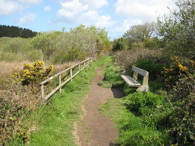 The beauty of the West Country's habitats, like here at Marazion Marsh NR, is not under question, but will the government be able to maintain it to its full natural potential under austerity conditions? Photo: Pauline Eccles (commons.wikimedia.org). The beauty of the West Country's habitats, like here at Marazion Marsh NR, is not under question, but will the government be able to maintain it to its full natural potential under austerity conditions? Photo: Pauline Eccles (commons.wikimedia.org).