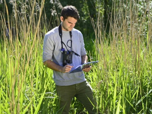 The data from BTO patch surveys builds into a comprehensive picture of the changes in your local bird populations, as well as informing the national picture. Photo: BTO. The data from BTO patch surveys builds into a comprehensive picture of the changes in your local bird populations, as well as informing the national picture. Photo: BTO.