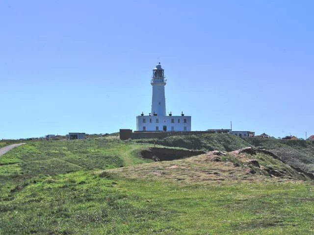 The Flamborough Head lighthouse is a beacon that can be seen from miles out to sea, and lures in migrating birds to the headland, where they linger to rest and feed up before moving on. Photo: Paul J Clarkson (commons.wikimedia.org). The Flamborough Head lighthouse is a beacon that can be seen from miles out to sea, and lures in migrating birds to the headland, where they linger to rest and feed up before moving on. Photo: Paul J Clarkson (commons.wikimedia.org).