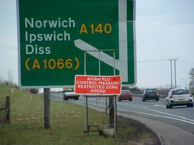The last poultry flu outbreak in Britain was at a Bernard Matthews factory farm in Suffolk, and seems to have derived from poor hygiene during the transportation of Turkey parts. Photo: Keith Evans (commons.wikimedia.org). The last poultry flu outbreak in Britain was at a Bernard Matthews factory farm in Suffolk, and seems to have derived from poor hygiene during the transportation of Turkey parts. Photo: Keith Evans (commons.wikimedia.org).