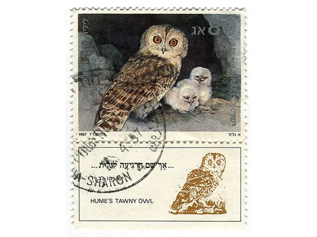 There won't be time for the Israelis to redesign their postage stamps, but this 'Hume's Owl' is now a new species. Photo: Penarc (commons.wikimedia.org). There won't be time for the Israelis to redesign their postage stamps, but this 'Hume's Owl' is now a new species. Photo: Penarc (commons.wikimedia.org).