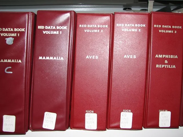 These Red Data books formed the basis of the IUCN Red List. Photo courtesy of the Wildfowl and Wetlands Trust (www.wwt.org.uk). These Red Data books formed the basis of the IUCN Red List. Photo courtesy of the Wildfowl and Wetlands Trust (www.wwt.org.uk).