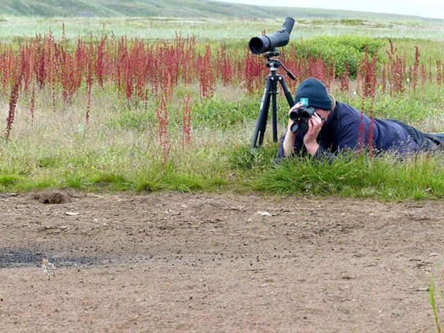 The Wildfowl and Wetlands Trust's Roland Digby in the field in Chukotka using Leica optics. Photo courtesy of the WWT (www.wwt.org.uk). The Wildfowl and Wetlands Trust's Roland Digby in the field in Chukotka using Leica optics. Photo courtesy of the WWT (www.wwt.org.uk).