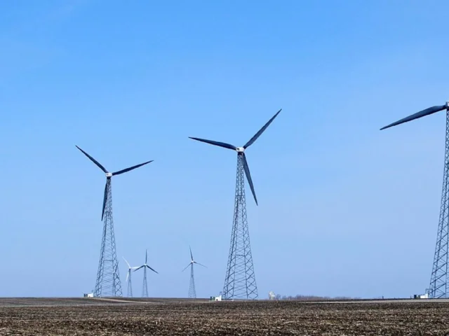 Wind turbines such as these in Iowa, USA, account for untold, but now more reliably estimated, bird strike deaths - similar numbers are likely to apply to some extent to Britain as well. Photo: Jim Hammer (commons.wikimedia.org). Wind turbines such as these in Iowa, USA, account for untold, but now more reliably estimated, bird strike deaths - similar numbers are likely to apply to some extent to Britain as well. Photo: Jim Hammer (commons.wikimedia.org).