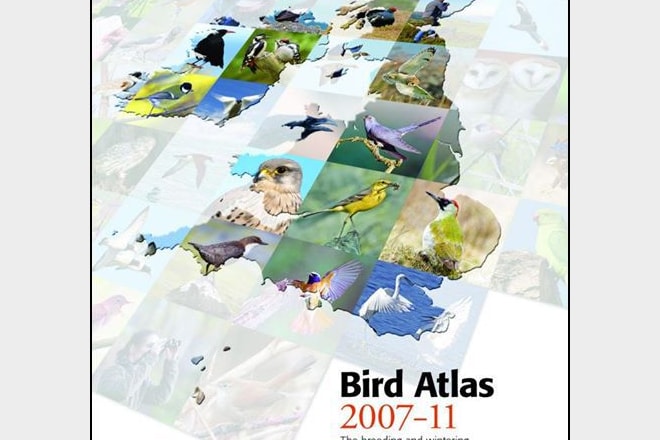 Bird Atlas 2007 11 Birdguides