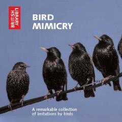 Bird Mimicry