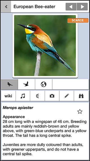 Birds of Britain Pro app 2