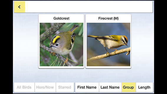 Birds of Britain Pro app 3