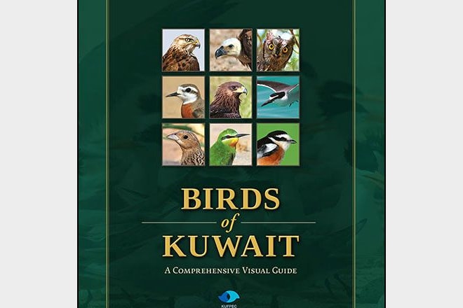 Birds Of Kuwait A Comprehensive Visual Guide Birdguides