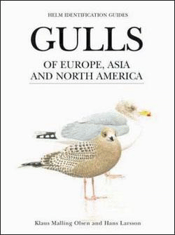 Gulls of Europe, Asia and North America - BirdGuides