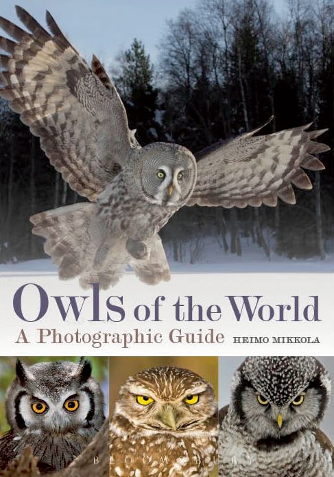Owls of the World: A Photographic Guide - BirdGuides